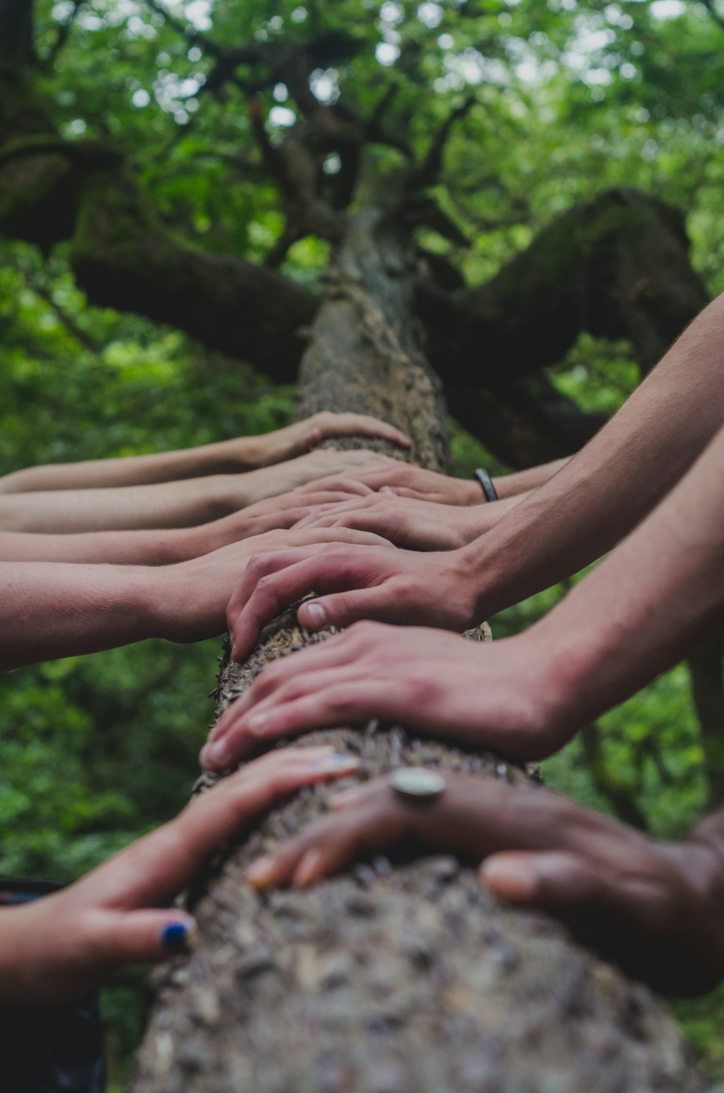 How Ordinary People Spark Extraordinary Change